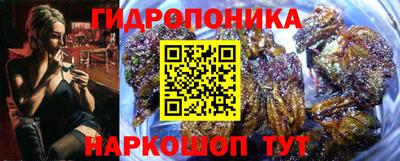 тгк Беслан