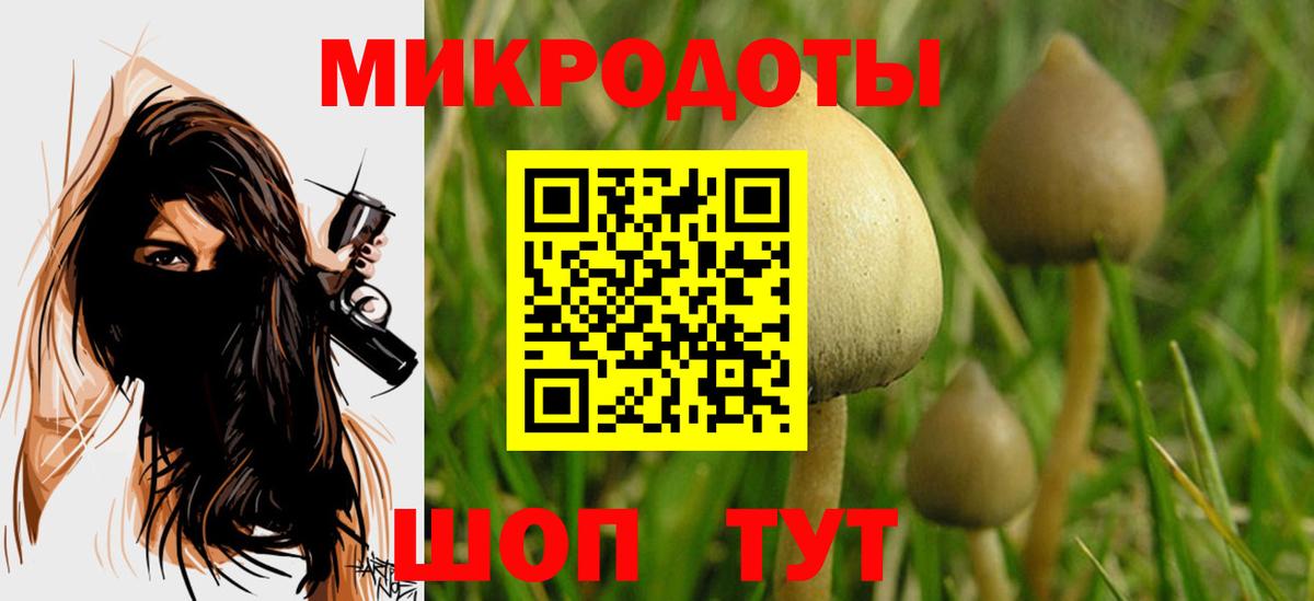 Галлюциногенные грибы Cubensis  Вход с VPN  Псилоцибиновые грибы MAGIC MUSHROOMS  Кимовск 